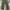 Shein Streetwear Casual pants Pria green photo 1