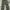 Shein Streetwear Casual Pants Pria Green