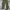 Shein Streetwear Casual pants Pria green photo 2