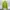 Zavanas Casual Sweatshirt Pria green photo 2