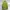 Zavanas Casual Sweatshirt Pria green photo 1