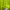 Zavanas Casual Sweatshirt Pria green photo 6