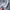 Marithè Fràncois Girbaud Casual Sweatshirt Wanita gray photo 8