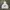 Vintage Hoody Pria white photo 3