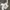 Vintage Hoody Pria white photo 4
