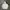 Vintage Hoody Pria white photo 2
