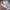 New Balance Casual Sneakers Pria White Gray