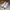 New Balance Casual Sneakers Pria white gray photo 2