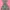 Daster Mano Light Colour Dress photo 1