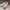 New Balance Casual Sneakers Pria white green photo 2