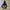 Vintage Y2K Hoody Wanita black photo 1
