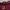Neighborhood Vintage Streetwear Sweatshirt Pria red photo 2