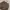 Uniqlo Streetwear Casual Casual pants Pria brown photo 2