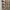 Jeep Vintage Casual Casual shirt Pria tan photo 5