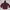 Hanes Vintage Streetwear Hoody Pria Burgundy