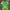 Adidas Sportswear Casual Jersey Pria green photo 1