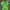 Adidas Sportswear Casual Jersey Pria Green