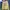 Jean-Michel Basquiat Casual Sweatshirt Wanita yellow photo 2