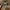 Vintage Y2K Sunglass Pria white gray photo 1