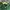 MLB Luxury Hoody Pria green photo 4