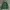 MLB Luxury Hoody Pria green photo 1