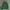 MLB Luxury Hoody Pria Green