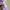 Streetwear T-shirt Pria purple pink photo 4