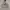 Russell Athletic Vintage Y2K Fleece Pria gray photo 1