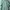 Umbro Sportswear Minimalist Windbreaker Pria green photo 1