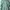 Umbro Sportswear Minimalist Windbreaker Pria Green