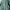 Umbro Sportswear Minimalist Windbreaker Pria green photo 2