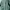 Umbro Sportswear Minimalist Windbreaker Pria Green