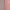 Coquette Casual Culotte Wanita Pink