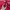 Hollister Streetwear Hoody Pria red photo 4