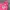 Pancoat Streetwear Hoody Pria pink photo 1
