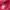 Pancoat Streetwear Hoody Pria pink photo 2