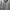 Gorpcore Parka Pria gray photo 2