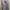Gorpcore Parka Pria gray photo 8
