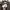 Covernat Streetwear Minimalist Harrington jacket Pria gray photo 4