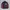 Sportswear Windbreaker Pria navy photo 1