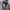 Gorpcore Sportswear Parka Pria Gray