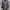 Gorpcore Sportswear Parka Pria Gray