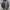 Gorpcore Sportswear Parka Pria gray photo 5