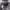 Gorpcore Sportswear Parka Pria gray photo 3