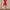 H&M Red Wrap Short Sleeve Dress photo 4