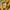 Fairy Cosplay Sweater Pria yellow photo 6