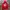 Casual Hoody Pria red photo 1