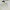 Airwalk Sportswear Polo shirt Pria white photo 4