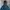 Lafuma Gorpcore Sportswear Windbreaker Pria multicolor photo 6