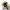 Eider Luxury Sportswear Puffer jacket Pria tan cream photo 5